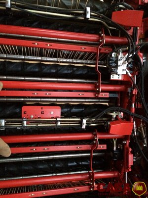 Arracheuse de pommes de terre Grimme GT 170 S