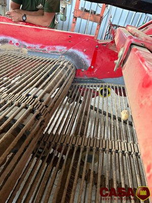 Arracheuse de pommes de terre Grimme GT 170 S
