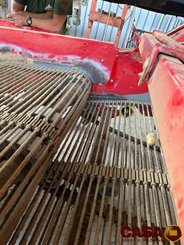 Arracheuse de pommes de terre Grimme GT 170 S
