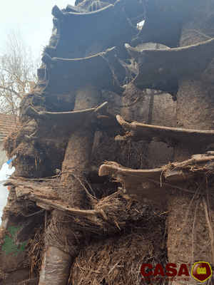 Épandeur à fumier Samson SP 15 confort line 