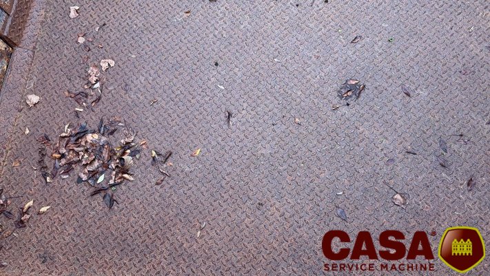 Bétaillère Cosnet Neptune 4.20