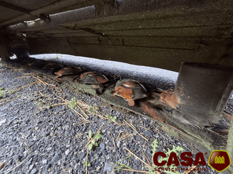 Faucheuse Claas Disco 3600