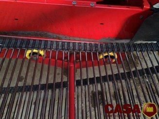 Arracheuse de pommes de terre Grimme GT 170 S