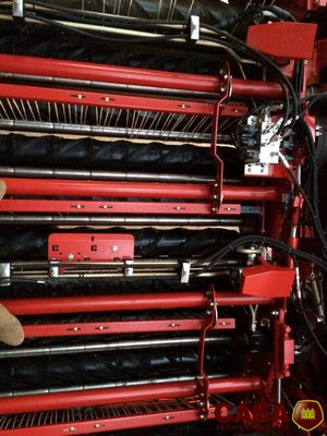 Arracheuse de pommes de terre Grimme gt170