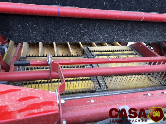 Arracheuse de pommes de terre Grimme GT 170 S